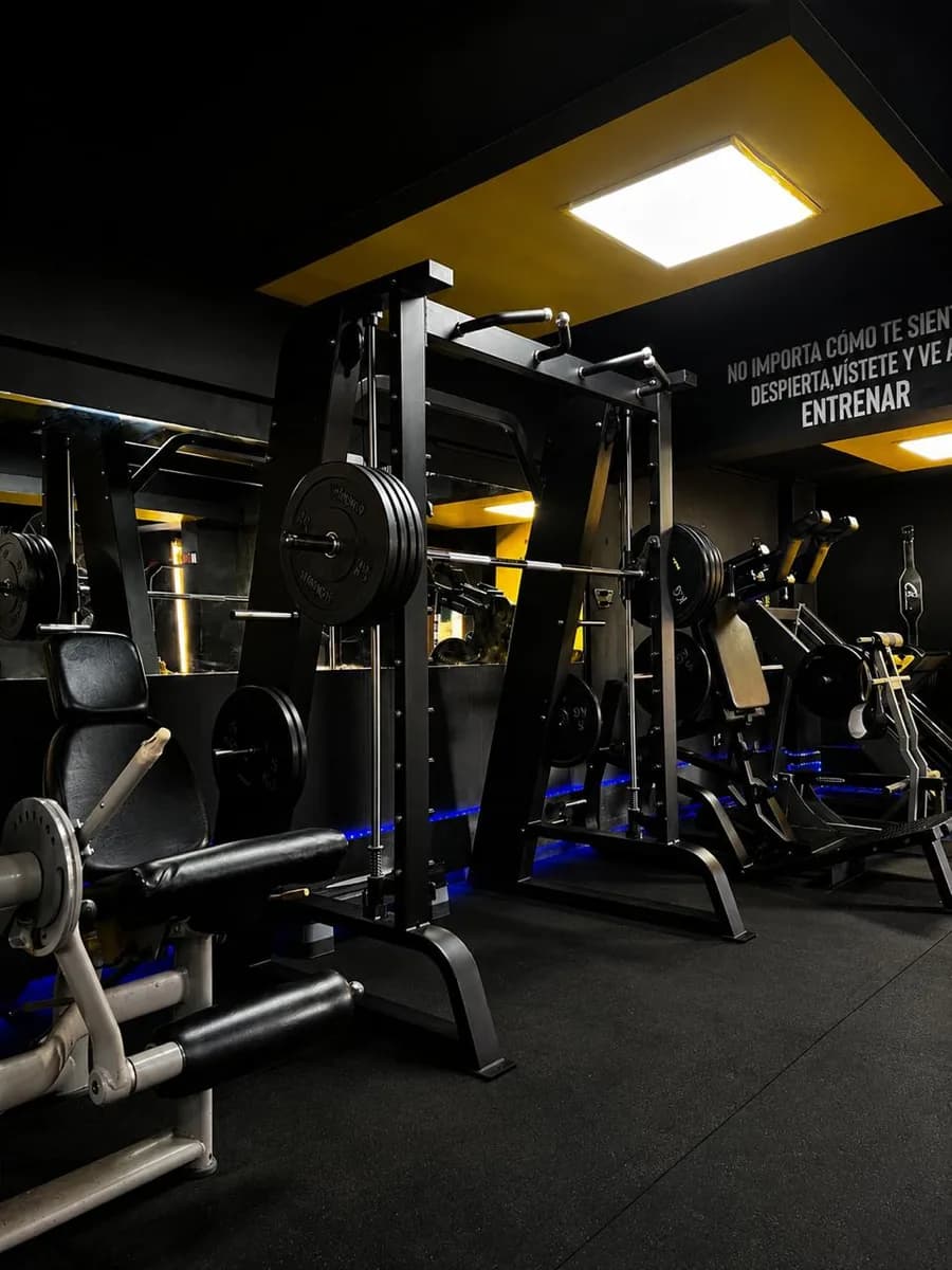 Máquinas de musculación y discos de peso en VIP Fitness.