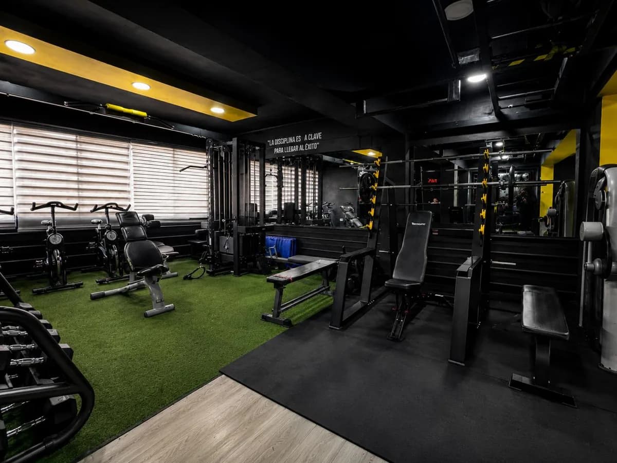 Vista del salón de VIP Fitness con bicicletas, bancos y estación de poleas.