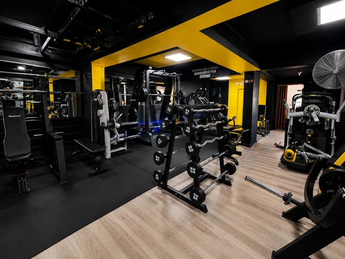 Salón de musculación de VIP Fitness con barras, mancuernas y máquinas de entrenamiento.